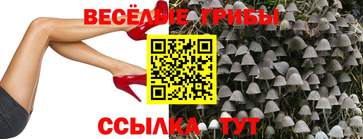 Галлюциногенные грибы ЛСД Мценск
