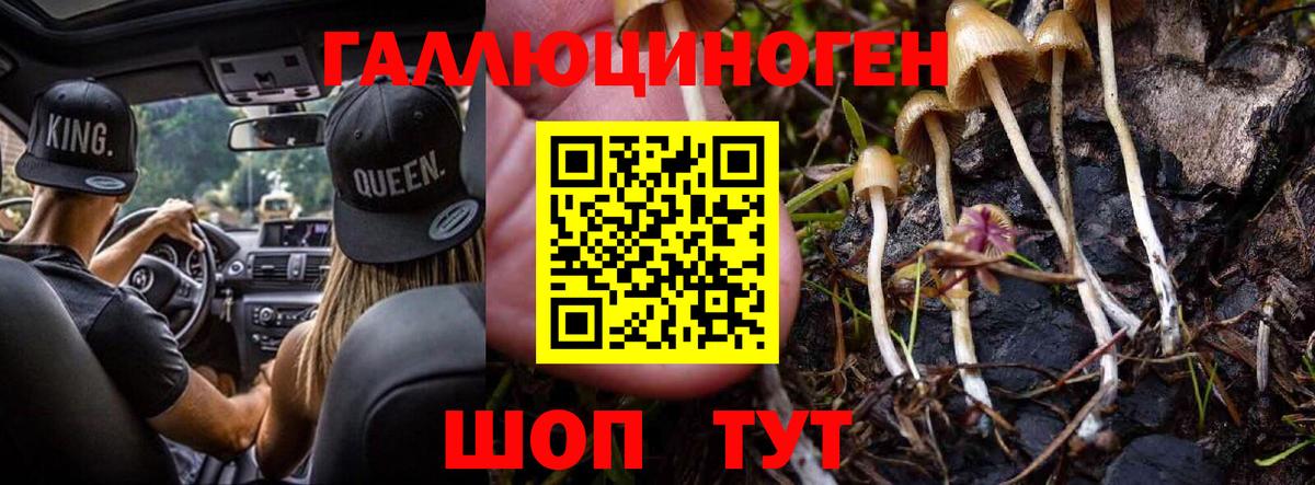 Мценск  Галлюциногенные грибы ЛСД  Псилоцибиновые грибы мухоморы  Вход с VPN 